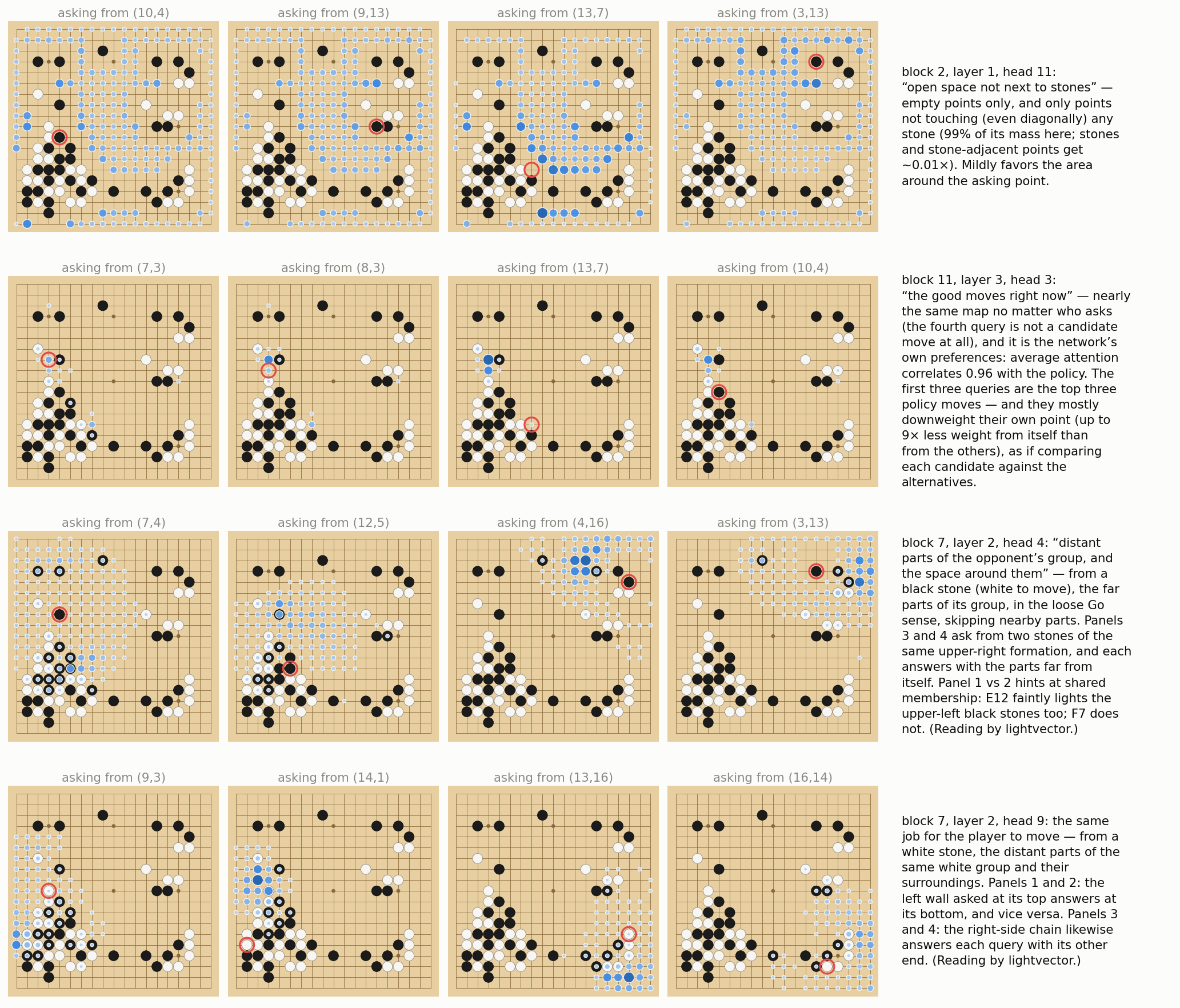 Four attention heads shown from four query points each, with interpretations: open space away from stones, current good moves, far parts of an opponent group, far parts of one's own group