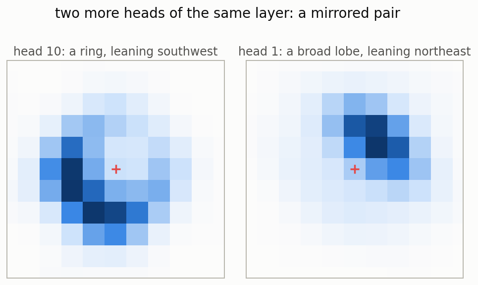 Two heads: a ring of attention leaning southwest, and a broad lobe leaning northeast